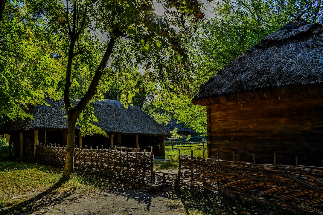 Hoeveel mensen wonen er in Frankrijk: alles over de bevolking