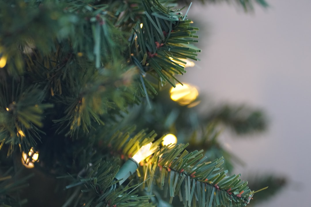 De kerstboom als feestelijke traditie tijdens kerst