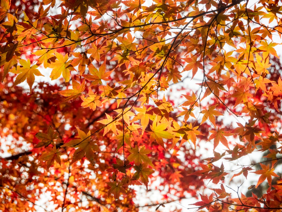 Bing uit GTST: waarom acteur Everon Jackson Hooi Meerdijk verlaat